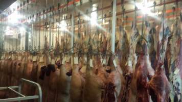 Captured at Crystal Creek Meats, Roseburg OR United States.