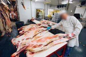 Captured at Mohawk Valley Meats/Bright Oak Meats, Inc., Springfield OR United States.