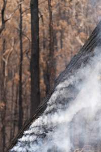 Aftermath of Victorian Bushfires 2019-20 - Photo by Kelsey Hannah - Captured at Bairnsdale VIC.