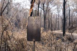 Aftermath of Victorian Bushfires 2019-20 - Photo by Kelsey Hannah - Captured at Bairnsdale VIC.