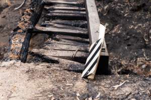 Aftermath of Victorian Bushfires 2019-20 - Photo by Kelsey Hannah - Captured at Bairnsdale VIC.