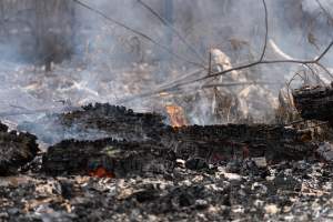 Aftermath of Victorian Bushfires 2019-20 - Photo by Kelsey Hannah - Captured at Bairnsdale VIC.