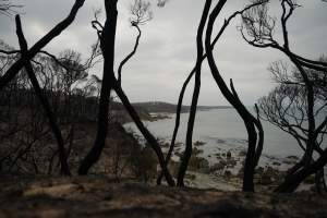 Aftermath of Australian Bushfires 2019-20 - Photo by Gav Wheatley