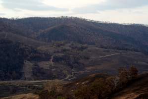 Aftermath of Australian Bushfires 2019-20 - Photo by Gav Wheatley