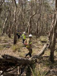 Aftermath of Australian Bushfires 2019-20 - Photo by Gav Wheatley