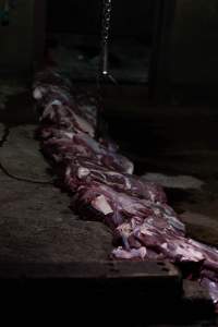 Blocks of meat laid out on kill floor - Captured at Luddenham Pet Meats, Luddenham NSW Australia.