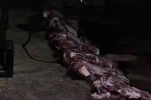 Blocks of meat laid out on kill floor - Captured at Luddenham Pet Meats, Luddenham NSW Australia.