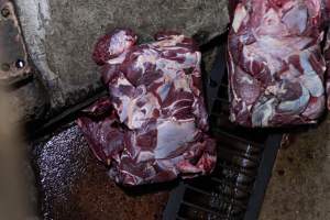 Blocks of meat laid out on kill floor - Captured at Luddenham Pet Meats, Luddenham NSW Australia.