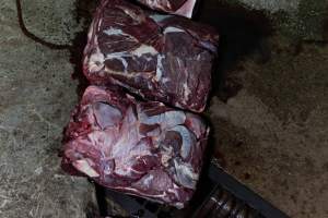 Blocks of meat laid out on kill floor - Captured at Luddenham Pet Meats, Luddenham NSW Australia.