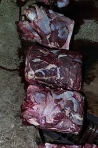 Blocks of meat laid out on kill floor - Captured at Luddenham Pet Meats, Luddenham NSW Australia.
