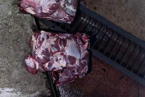 Blocks of meat laid out on kill floor - Captured at Luddenham Pet Meats, Luddenham NSW Australia.