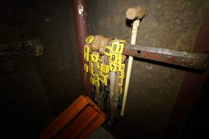 Sledgehammer in corner of kill room - Captured at Luddenham Pet Meats, Luddenham NSW Australia.