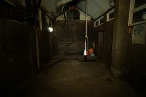 Kill room - Captured at Luddenham Pet Meats, Luddenham NSW Australia.