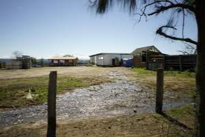 Outside knackery - Captured at Luddenham Pet Meats, Luddenham NSW Australia.