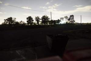 Looking over bin towards rendering plant - Captured at Burns Pet Food, Riverstone NSW Australia.