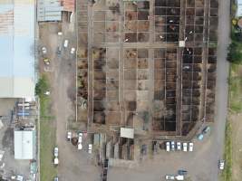 Drone flyover of horse sales - Captured at Camden Livestock Selling Complex, Camden NSW Australia.