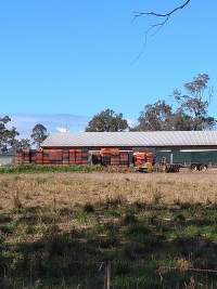 Captured at Bond Enterprises, Veradilla QLD Australia.