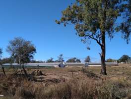 Captured at Bond Enterprises, Veradilla QLD Australia.