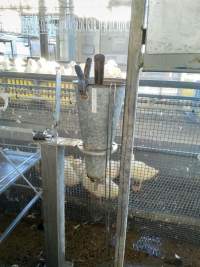 Hand tools next to slaughter line - Captured at Luv-A-Duck Abattoir, Nhill VIC Australia.