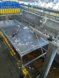 Hand tools on cutting table next to slaughter line - Captured at Luv-A-Duck Abattoir, Nhill VIC Australia.