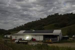 Outside Kankool Pet Food - Captured at Kankool Pet Food, Willow Tree NSW Australia.