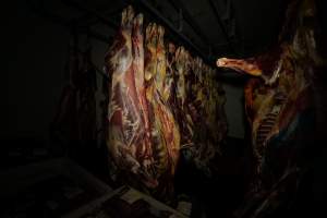 Hanging carcasses in chiller - Captured at Kankool Pet Food, Willow Tree NSW Australia.