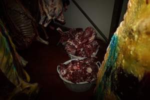 Tubs of bones and flesh - Captured at Kankool Pet Food, Willow Tree NSW Australia.