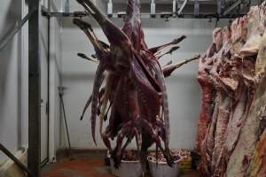 Hanging carcasses in chiller - Captured at Kankool Pet Food, Willow Tree NSW Australia.