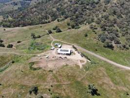 Drone flyover of knackery - Captured at Kankool Pet Food, Willow Tree NSW Australia.