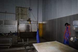 Inside killroom at knackery - Captured at Highland Pet Food, Guyra NSW Australia.