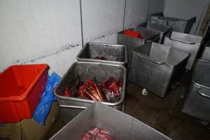 Severed horse heads in chiller - 3 of these horses are from Gerry Harvey's Broombee Stud - Captured at Highland Pet Food, Guyra NSW Australia.