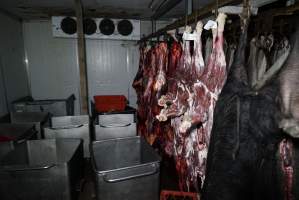 Hanging carcasses in chiller - Captured at Highland Pet Food, Guyra NSW Australia.