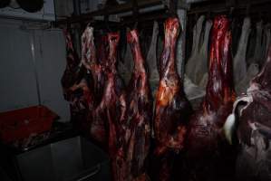 Hanging carcasses in chiller - Captured at Highland Pet Food, Guyra NSW Australia.