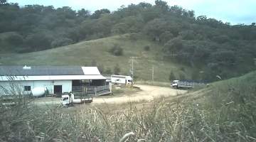 Outside view of Kankool Pet Meats - Captured at Kankool Pet Food, Willow Tree NSW Australia.