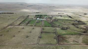 Drone flyover of thoroughbred stud - Broombee Stud, owned by billionaire Gerry Harvey, sends horses to Highland Pet Food knackery. - Captured at Harvey's Broombee Stud, Dangarsleigh NSW Australia.