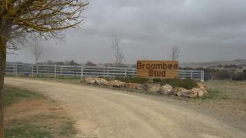 Sign - Broombee Stud - Broombee Stud, owned by billionaire Gerry Harvey, sends horses to Highland Pet Food knackery. - Captured at Harvey's Broombee Stud, Dangarsleigh NSW Australia.