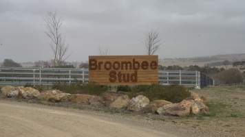 Sign - Broombee Stud - Broombee Stud, owned by billionaire Gerry Harvey, sends horses to Highland Pet Food knackery. - Captured at Harvey's Broombee Stud, Dangarsleigh NSW Australia.
