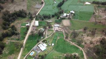 Drone flyover of Murrulla Stud - Murrulla Stud sends horses to Kankool Pet Food knackery. - Captured at Murrulla Stud, Wingen NSW Australia.