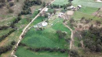 Drone flyover of Murrulla Stud - Murrulla Stud sends horses to Kankool Pet Food knackery. - Captured at Murrulla Stud, Wingen NSW Australia.