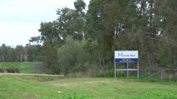 Sign - Murrulla Stud - Murrulla Stud sends horses to Kankool Pet Food knackery. - Captured at Murrulla Stud, Wingen NSW Australia.