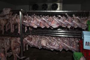 Dead turkeys in chiller room of slaughterhouse - Captured at Numurkah Turkey Supplies - farm and abattoir, Numurkah VIC Australia.