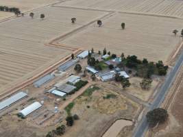 Drone flyover of turkey farm and abattoir - Captured at Numurkah Turkey Supplies - farm and abattoir, Numurkah VIC Australia.