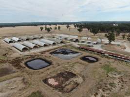 Aerial view - From drone - Captured at Reedy Lake Grower, Whroo VIC Australia.