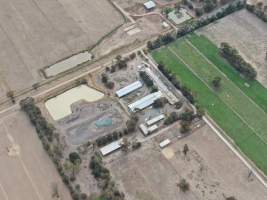 Aerial view - From drone - Captured at Kendux Investments Piggery, Harston VIC Australia.