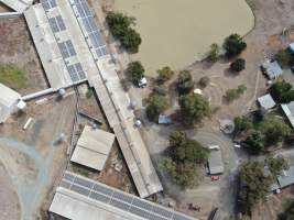 Aerial view - From drone - Captured at Midland Bacon, Carag Carag VIC Australia.