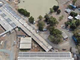 Aerial view - From drone - Captured at Midland Bacon, Carag Carag VIC Australia.