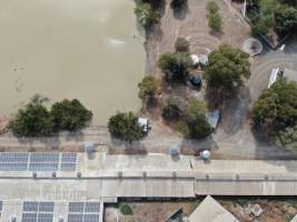 Aerial view - From drone - Captured at Midland Bacon, Carag Carag VIC Australia.