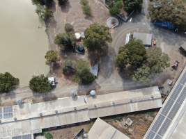 Aerial view - From drone - Captured at Midland Bacon, Carag Carag VIC Australia.