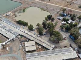 Aerial view - From drone - Captured at Midland Bacon, Carag Carag VIC Australia.