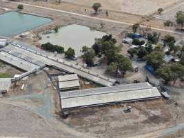 Aerial view - From drone - Captured at Midland Bacon, Carag Carag VIC Australia.